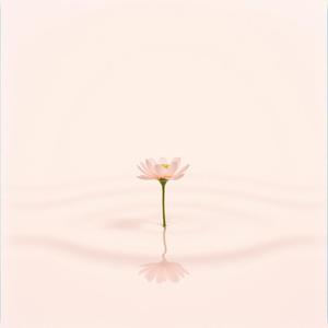 누군가는 이걸 사랑이라 부른다