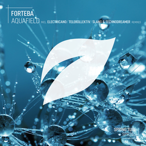 Aquafield (Original Mix)