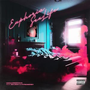 Euphoria Sex Life (feat. Hypecmoney & Big Zoot)