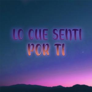 Lo Que Senti Por Ti