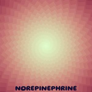 Norepinephrine