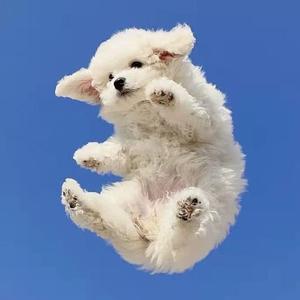 你的答案MMM_3(1)