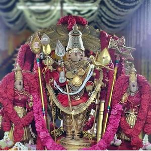 திருப்புகழ் 58 சந்தன சவ்வாது (திருச்செந்தூர்)