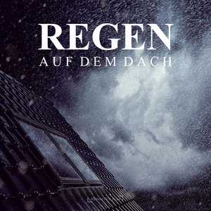 Regen auf dem Dach, Teil 16 (2024 Remaster)