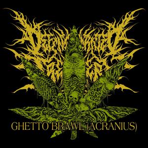 Ghetto Brawl (Acranius)