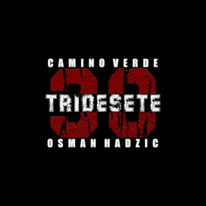 Tridesete