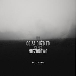 Co Za Dużo To Niezdrowo (feat. Cypis) (Biggy See Remix)