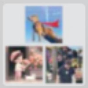 创业中......请勿打扰