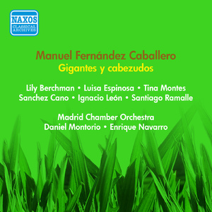 Gigantes y cabezudos