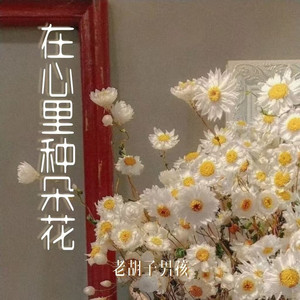 在心里种朵花