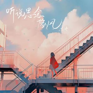 听说思念像风