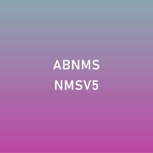 AB.NMS[XIII], Vol. V