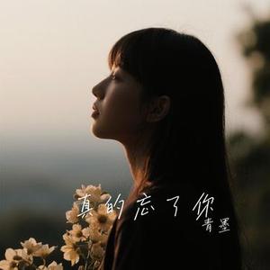 真的忘了你 (青墨 Remix)