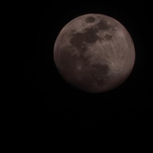 你的好 够我与这坏世界周旋