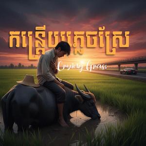 កន្ត្រើយភ្លេចស្រែ-Crying Grass