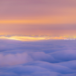 밤하늘의 별들처럼