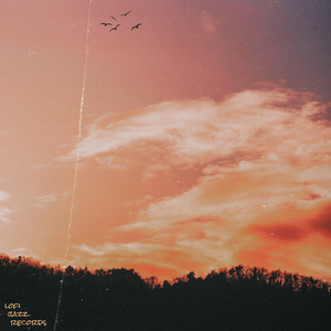 An Afternoon With You