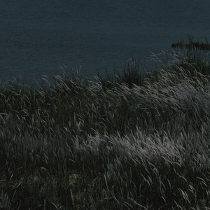 light