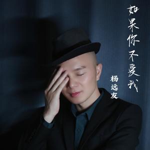 杨远友 - 如果你不爱我