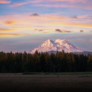星星小清新（催眠入睡）