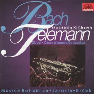 Concerto in D minor for Oboe, Strings and Basso Continuo: I. Allegro