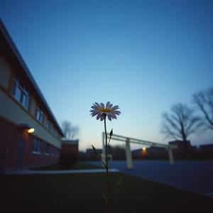 最後のチャイム2