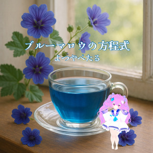 ブルーマロウの方程式