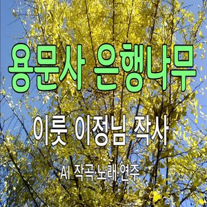 용문사 은행나무