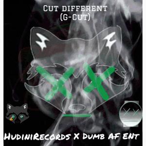 CUT DIFFERENT G-CUT (CUT UP BY HUDINI) (feat. King Hudini)