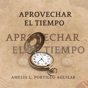 APROVECHAR EL TIEMPO