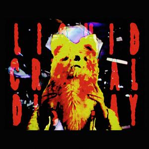 LIQUIDCRYSTALDISPLAY