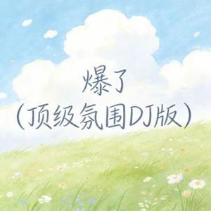 爆了（顶级氛围DJ版）