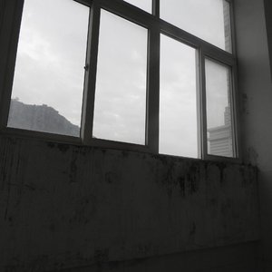 Nettie Maria Stevens（ネッティ・マリア・スティーブンス）