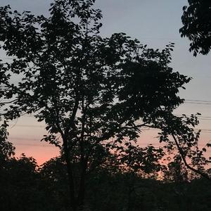 琉璃苣demo（prod by Charon）