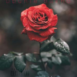 Ubuhle bakho (feat. Spheh)