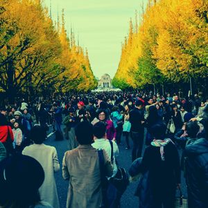 抚慰的东京回忆