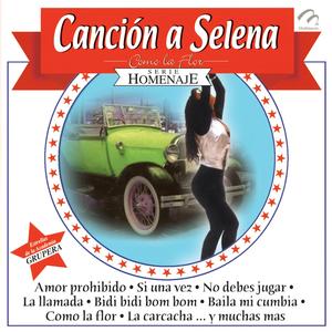 Mega Mix Selena: Amor Prohibido / La Carcacha / No Debes Jugar / Como la Flor / Bidi Bidi Bom Bom / Baila Mi Cumbia / La Techno Cumbia
