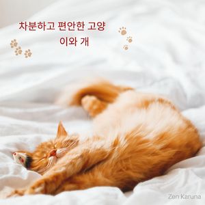 장난 꾸러기 고양이를 위한 음악
