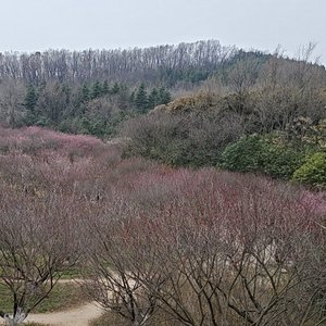 我爱财我要暴富