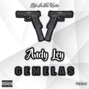Gemelas