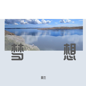 枸杞红枣