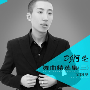 兵哥哥我的心上人 (DJ阿圣版)