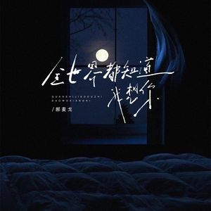 全世界都知道我想你