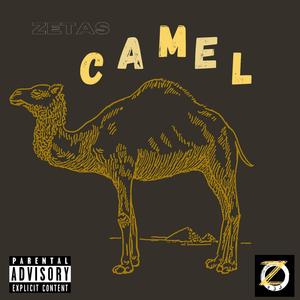 Camel