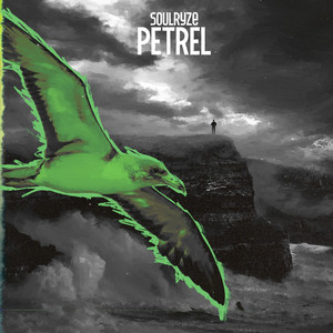 Petrel