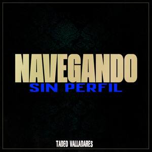 Navegando Sin Perfil