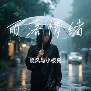 雨落情绪