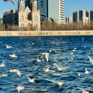 闺蜜的话（Cover 张诗莉）