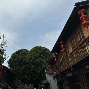 风驶过的声音是