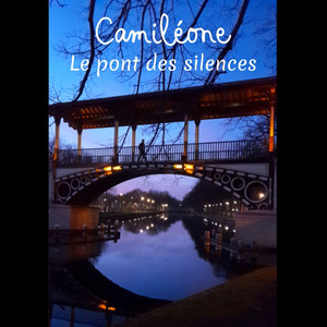 Le pont des silences